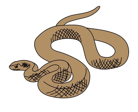 Desert Snake Clipart Clip Art Library