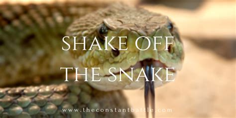 Shake Off The Snake — The Constant Battle
