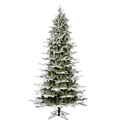 Search 15 Foot Tree