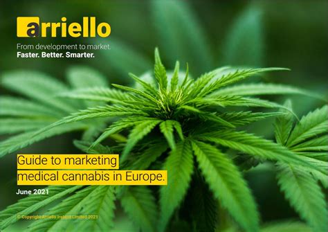 Guide To Marketing Medical Cannabis In Europe M A N O X B L O G