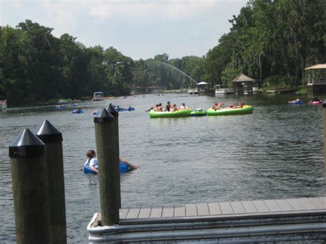 Please feel free to download and contact us today! Ocala 2020: Best of Ocala, FL Tourism - TripAdvisor