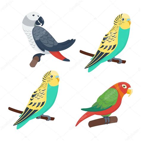 Cartoon Parrots Set Vector — Stock Vector © 122959014