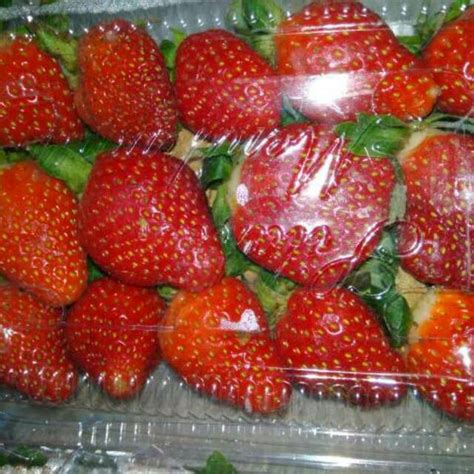 jual buah strawberry segar  jakarta seputar buah
