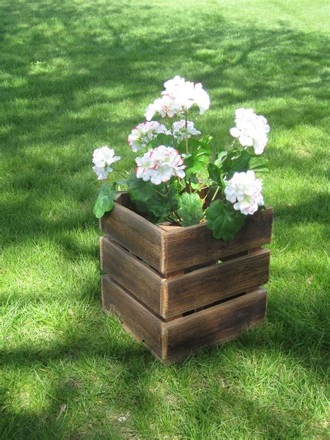20 planter box flower ideas