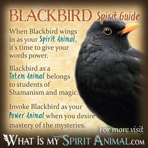 Blackbird Symbolism And Meaning Blackbird Spirit Totem And Power Animal