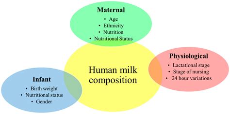 Nutrients Free Full Text Maternal Nutrition And Body Composition During Breastfeeding