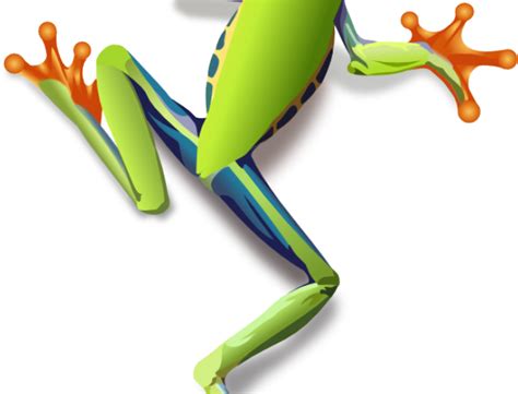 Red Eyed Tree Frog Clipart Small Frog Png Download Full Size