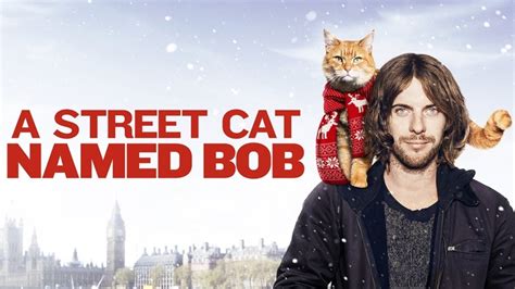 A Street Cat Named Bob Wiki Synopsis Reviews Watch And Download