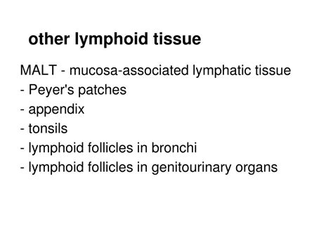 Ppt The Lymph System And Lymphoid Organs And Tissues Powerpoint