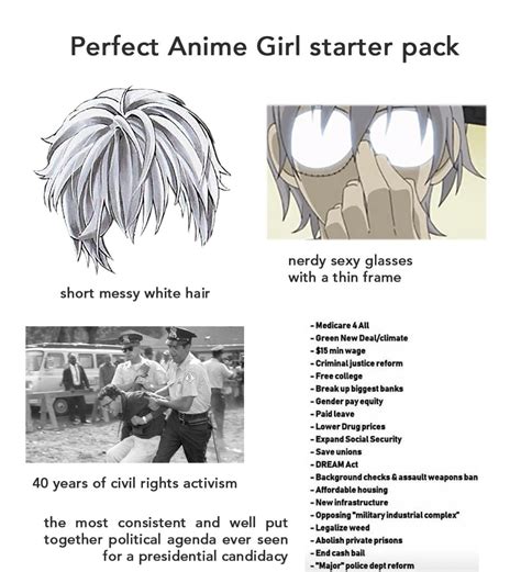 Perfect Anime Girl Starter Pack Waifu Material Rstarterpacks