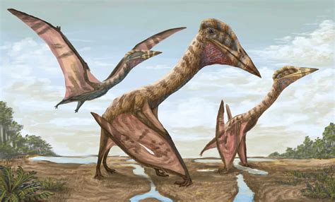 Fossil Friday Largest Ever South American Pterosaurs Had Wingspans The