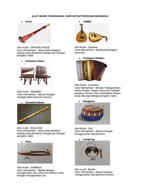Alat musik tradisional menjadi gambaran kekayaan budaya indonesia. Alat Musik Tradisional Dari Setiap Provinsi Indonesia