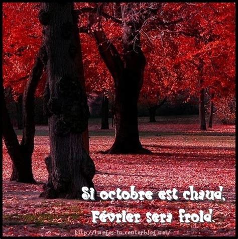 Le Douaire Île De Vivre Toutes Les Citations Et Proverbes De Octobre