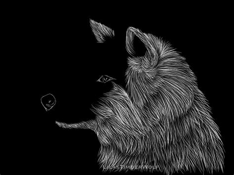 Black And White By Lilastimberwolf On Deviantart