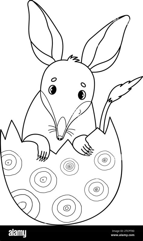 Cute Easter Bilby In Egg Australian Animal Linear Outline Drawing