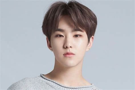 Other names ほし hoshi hoshi_(hoshi_san_3). Hoshi de SEVENTEEN se blesse à l'épaule lors d'un concert