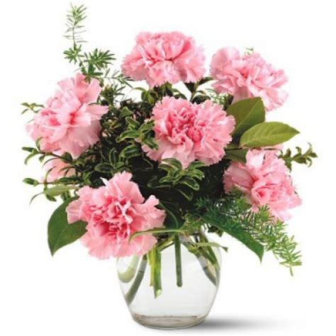 Pinkish Carnations 6 Stems Vase