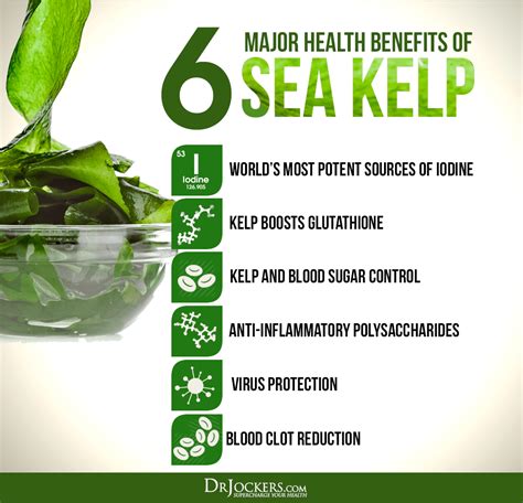 6 Major Health Benefits Of Sea Kelp For Energy And Metabolism