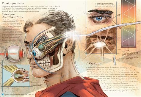 Amazon Dc Comics Anatomy Of A Metahuman Marvel Anatomy A