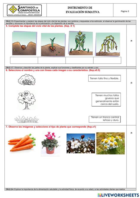 Ciencias Naturales Online Exercise For 3ro Egb