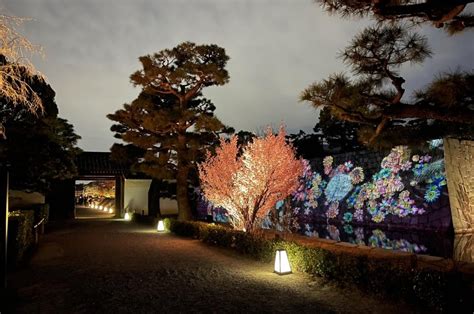 Naked Flowers Sakura World Heritage Nijo Castle Admission Ticketkyoto Japan Kkday