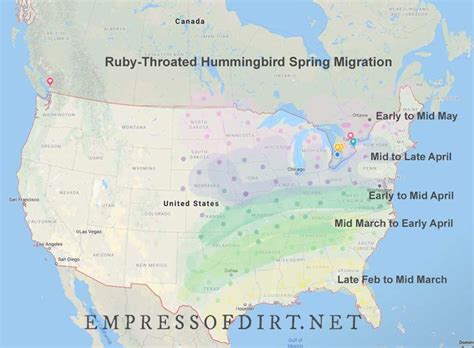 2023 Hummingbird Migration Map Discover Out When To Anticipate Them