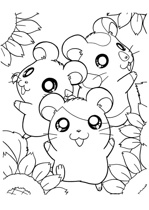 Makkelijke kleurplaat dieren schattige dieren by schattigedieren nl. Hamsters Kleurplaat Dieren Kleurplaat » Animaatjes.nl