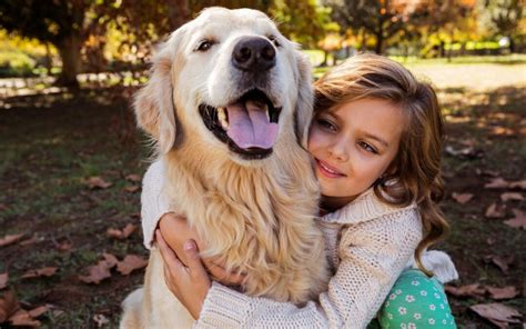 9 Great Dog Breeds For Kids Stashiopet