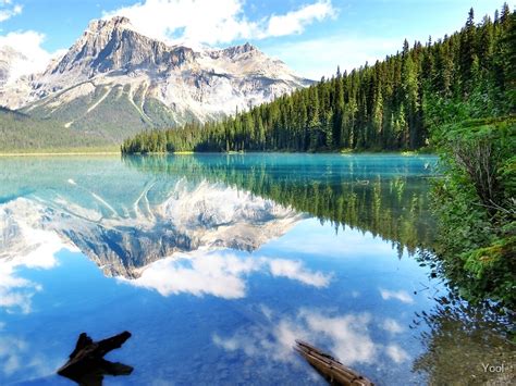 Emerald Lake Banff Canada By Yool Redbubble