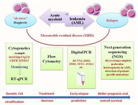 pcr and ngs in acute myeloid leukemia encyclopedia mdpi