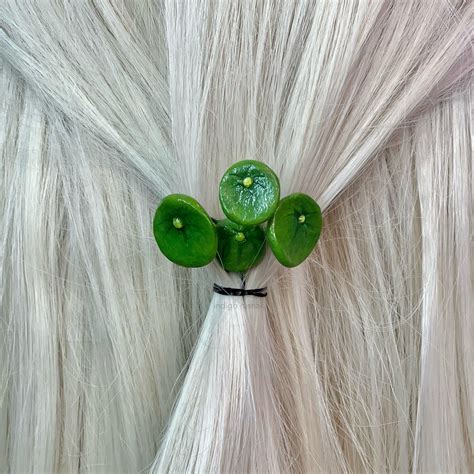 Accidentally let my entire collection perish during a depressive