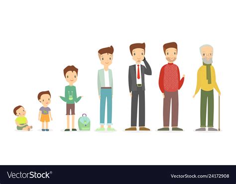 A Man In Different Ages Royalty Free Vector Image