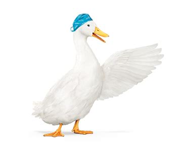 They are a company that has. Hospital Insurance Policy for Individuals & Families | Aflac