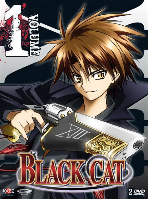 Black Cat Série Tv 2005 Manga News