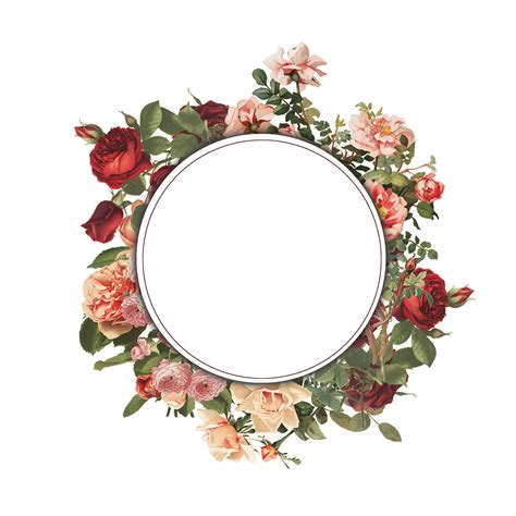 Check spelling or type a new query. Floral frame PNG