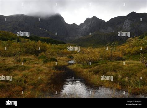 Boggy Ground And Dramatic Mountains Peaks On The Lofoten Islands