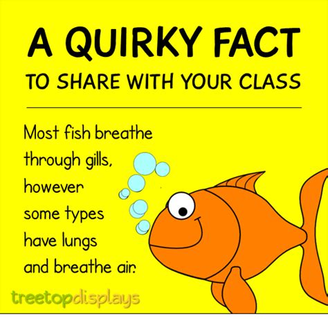 A Quirky Fact About Fish To Share With Your Class From Treetop