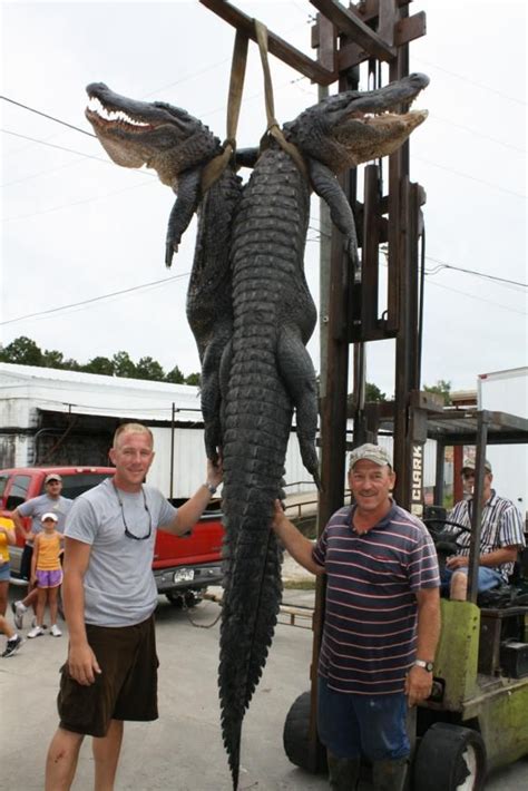 Swamp People Community Discussion Forums Swamp