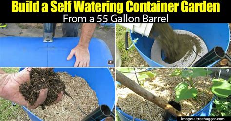 How To Build A 55 Gallon Barrel Self Watering Container Garden