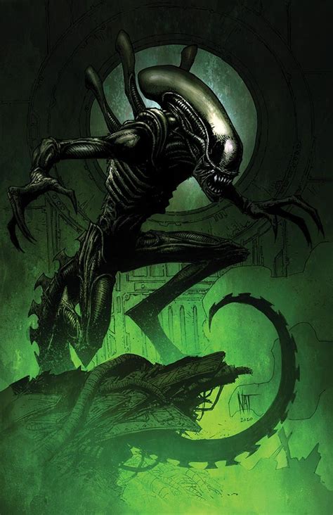 Alien Xenomorph By Nat Jones Lv426