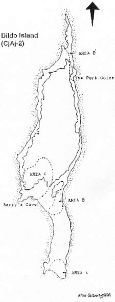 The Dorset Occupation Of Dildo Island Preliminary Field Report 1996