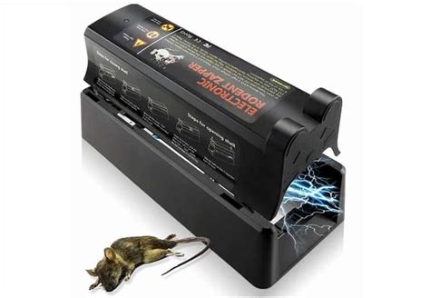 10 Best Electric Mouse Traps To Use In 2022 Insect Hobbyist