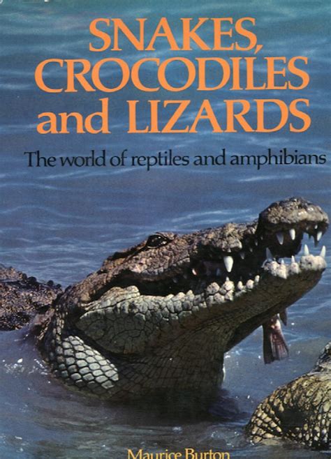 Snakes Crocodiles And Lizards The World Of Reptiles And Amphibians