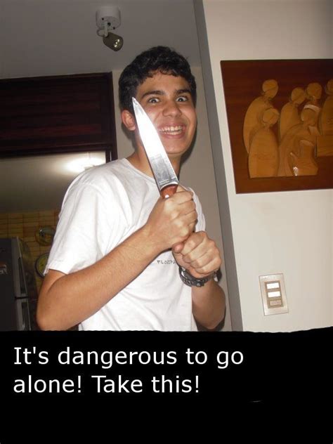 Pictures, videos, articles, and questions featuring and about cats. Image - 8135 | It's Dangerous to Go Alone! Take This ...