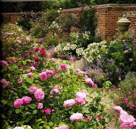 60 Beautiful Rose Garden Design Ideas