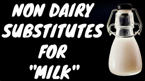 9 Best Non Dairy Substitutes For Milk Youtube