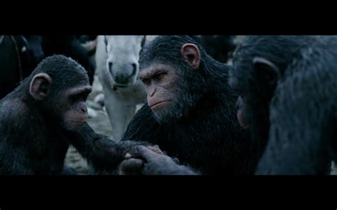 Caesar and his apes are forced into a deadly conflict with an army of humans led by a ruthless colonel. 'War for the Planet of the Apes' is a big loser | New York ...