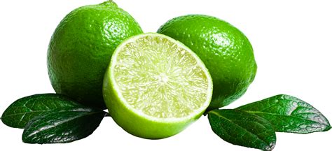 Lime Png Image Purepng Free Transparent Cc0 Png Image Library
