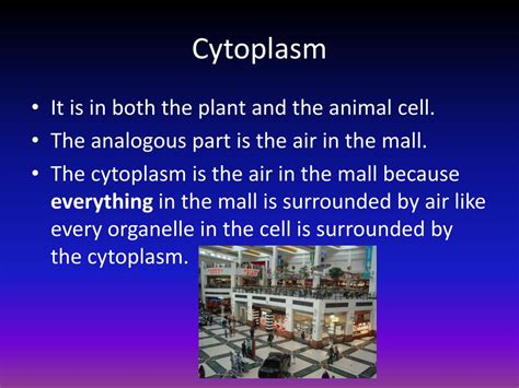 Check spelling or type a new query. PPT - Cell Parts Analogy of a Mall PowerPoint Presentation ...