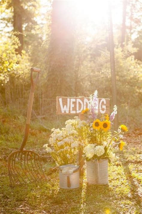 20 Creative Backyard Wedding Ideas On A Budget Rencana